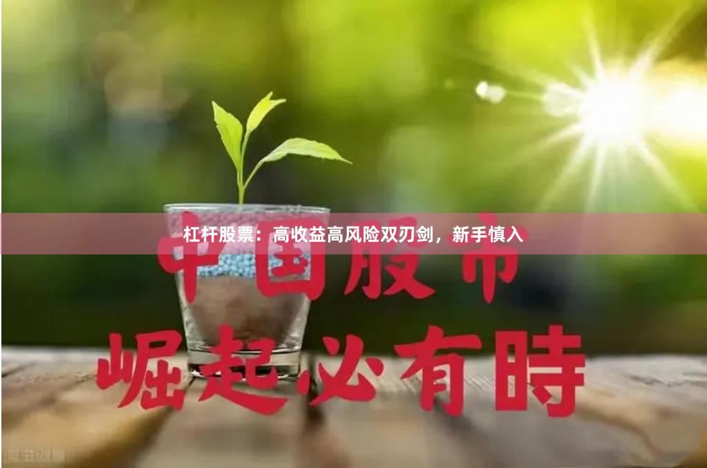 杠杆股票：高收益高风险双刃剑，新手慎入