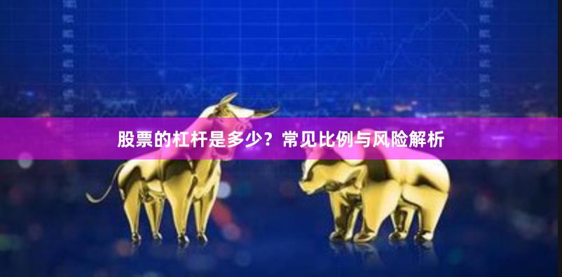 股票的杠杆是多少？常见比例与风险解析
