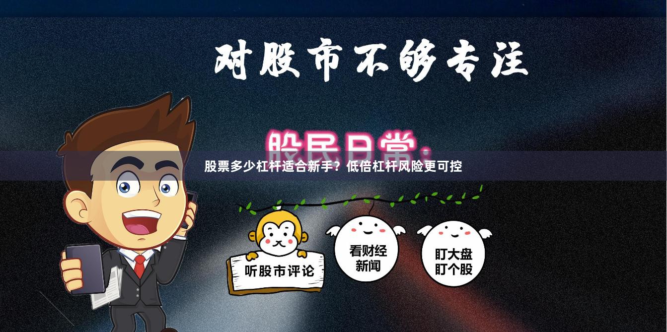 股票多少杠杆适合新手？低倍杠杆风险更可控